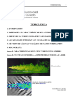 Tema 6 Turbulencia 0405