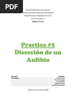 Disección de Anfibio INFORME LABORATORIO...