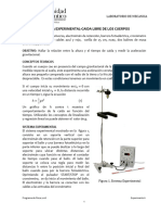 Exp06 - CAIDA LIBRE DE LOS CUERPOS - Vfísica2019 - 105B