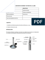Práctica 4. El Mechero de Bunsen y Estudio de La Llama.