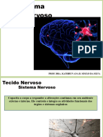 Aula Tecido Nervoso 1