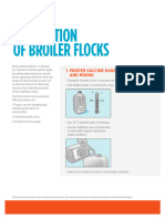 Spray Vaccination of Broiler Flocks Guide