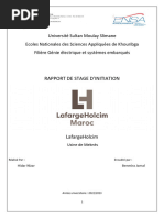 Rapport Du Stage - Lafarge