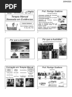 Terapia Manual Baseada em Evidencias - Prof. Scattone