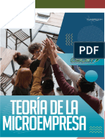 2 Teoria de La Microempresa