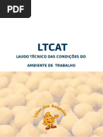 Ltcat Lider Dos Salgados