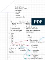 Endocrino 1