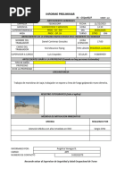 Informe Preliminar