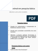 6.utilização Animal em Pesquisa Básica