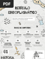 Retículo Endoplasmatico