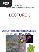 Marine and Coastal Ecosystems