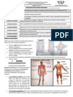 Musculos y Huesos