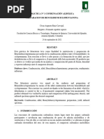 Informe de Orgánica 3