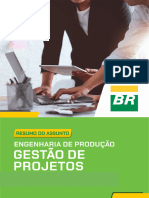 Resumo Gestao de Projetos