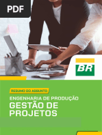 Resumo Gestao de Projetos