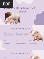 CIRCOVIRUS PORCINA (Autoguardado)