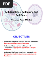 Cell Injury