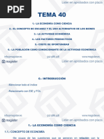 Tema 40 PDF