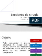 Lecciones de Cirugía 1