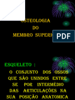 2.4. Ossos Dos Membros Superiores