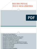 Derecho Penal Subjetivo y Sus Límites