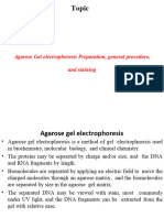 Agarose Gel Electrophoresis Lecture