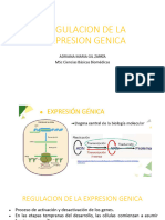 Regulacion de La Expresion Genica