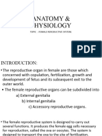 Female Reproductive System