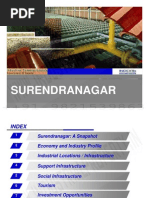 Surendranagar District Profile