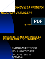 9m-Causas de Hemorragias El La Primer Mitad Del Embarazo