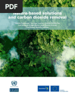 Nature-Based Solutions and Carbon Dioxide Removal