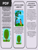 Triptico Del Medio Ambiente 3