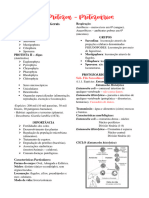 Filo Protozoa - Protozoários-1