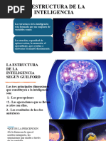 La Estructura de La Inteligencia