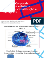 Aula 3 - Líquidos Corporais Membrana Celular - Estrutura, Constituição e Transporte