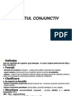 TESUT CONJUNCTIV c3