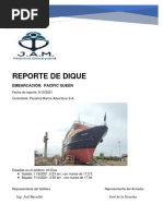 Reporte de Dique de Pacific Queen2