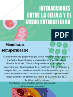 Interacciones Entre La Celula y El Medio Extracelular