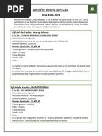 Acta 008-2024-Comite Ampliado - 09 Febrero 24 JM