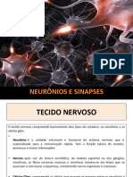 Aula Neurofisiologia Primeiro Bimestre 2024.1