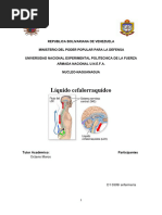 Liquido Cefalorraquideo