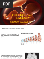 THE FETUS and PLACENTA