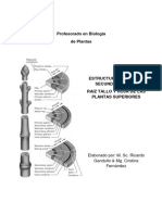 Apunte Anatomia Raiz Tallo Hoja Complemento