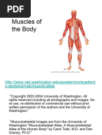 Lecture 11 - Muscles of The Body