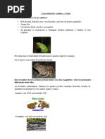 Especialidad de Anfibios