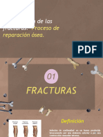 Clasificación de Las Fracturas - Proceso de Reparación Ósea