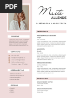 Currículum Vitae CV Diseñadora y Arquitecta Minimalista Rosa