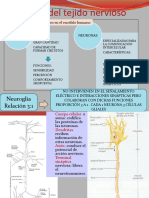 Células Del Sist Nervioso y Generalidades