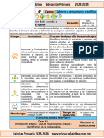 4to Grado Marzo - 01 La Aventura de La Comida A Través Del Cuerpo (2023-2024)