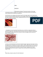 Canine Anatomy and Physiology Module 5 30 Oct 2021